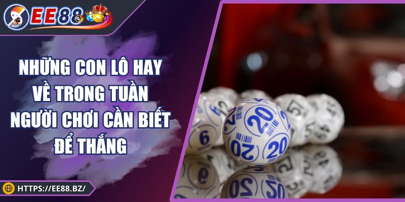 Những Con Lô Hay Về Trong Tuần Người Chơi Cần Biết Để Thắng