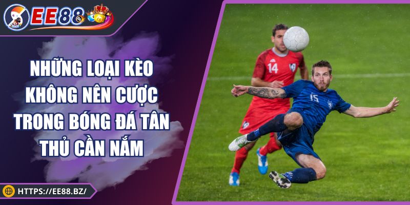 Những Loại Kèo Không Nên Cược Trong Bóng Đá Tân Thủ Cần Nắm
