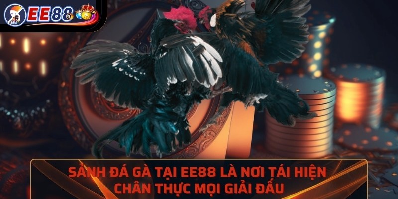 Sảnh đá gà tại XOSO66 là nơi tái hiện chân thực mọi giải đấu